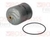 FAW 101701129DM Oil Filter